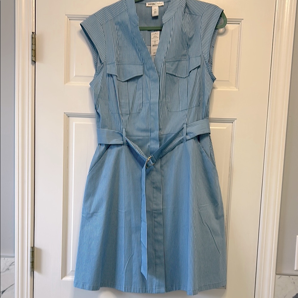 NWT White House Black Market Outlet Blue Striped Dress, fit and flare, Size 12